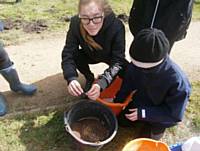 Redwood Students adding the wildflower seeds into the sand and compost mix